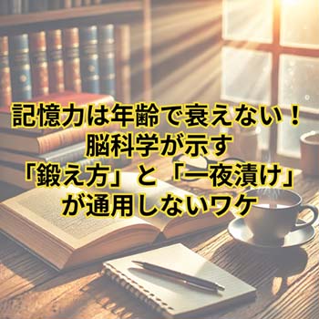 【読書感想文】記憶力は年齢で衰えない!脳科学が示す「鍛え方」と「一夜漬け」が通用しないワケ